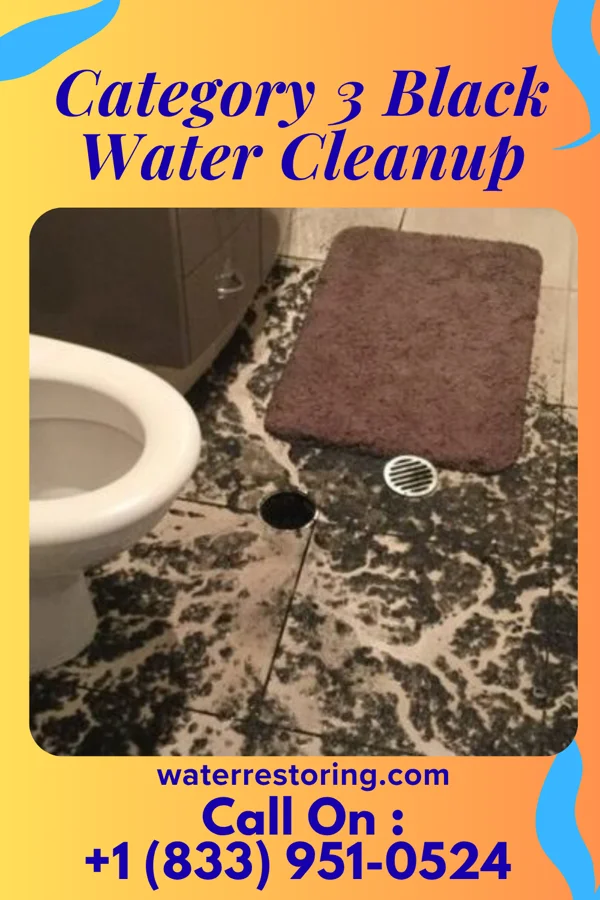 Category 3 Black Water Cleanup in Tama, IA