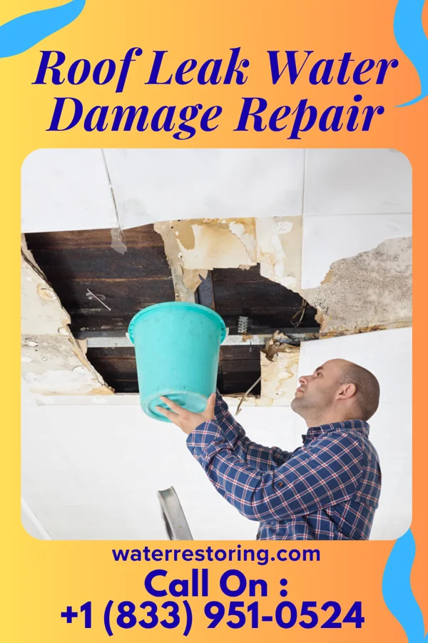 Roof Leak Water Damage Repair in Tama, IA